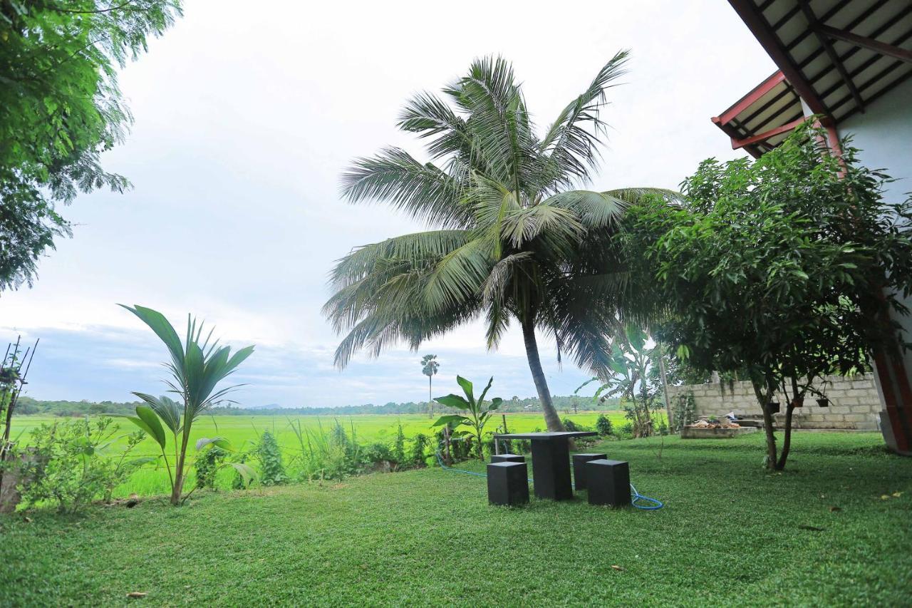 Hotel Serene View Tourist Rest Anuradhápura Exteriér fotografie